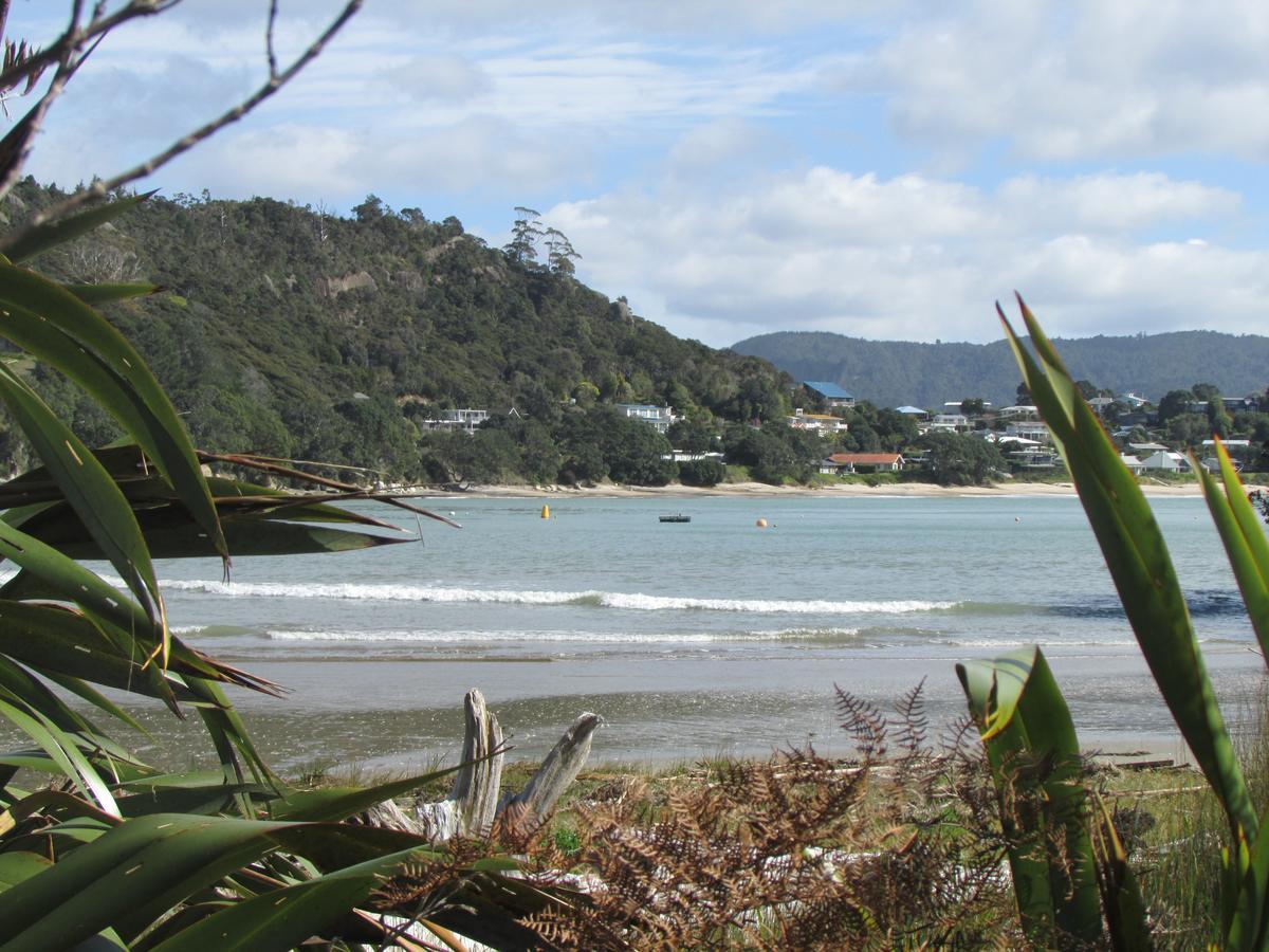 Flaxmill Cove B&B Whitianga Zewnętrze zdjęcie
