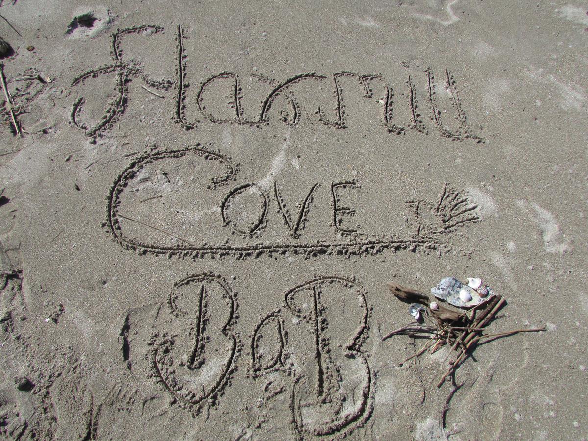 Flaxmill Cove B&B Whitianga Zewnętrze zdjęcie