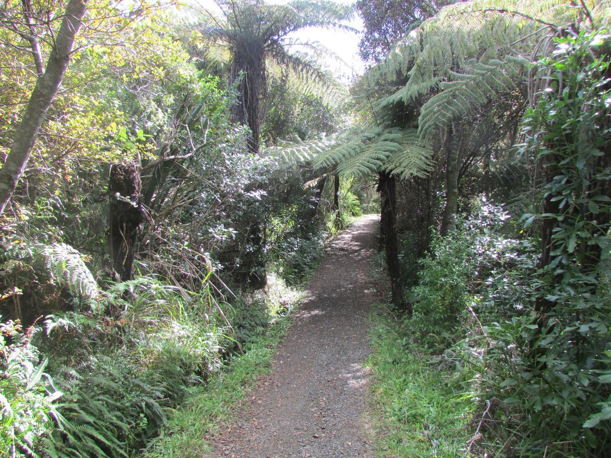 Flaxmill Cove B&B Whitianga Zewnętrze zdjęcie
